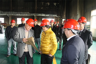 2012年1月31日，時(shí)任嘉興市委書(shū)記魯俊率領(lǐng)市發(fā)改委等市級(jí)部門負(fù)責(zé)人到公司調(diào)研